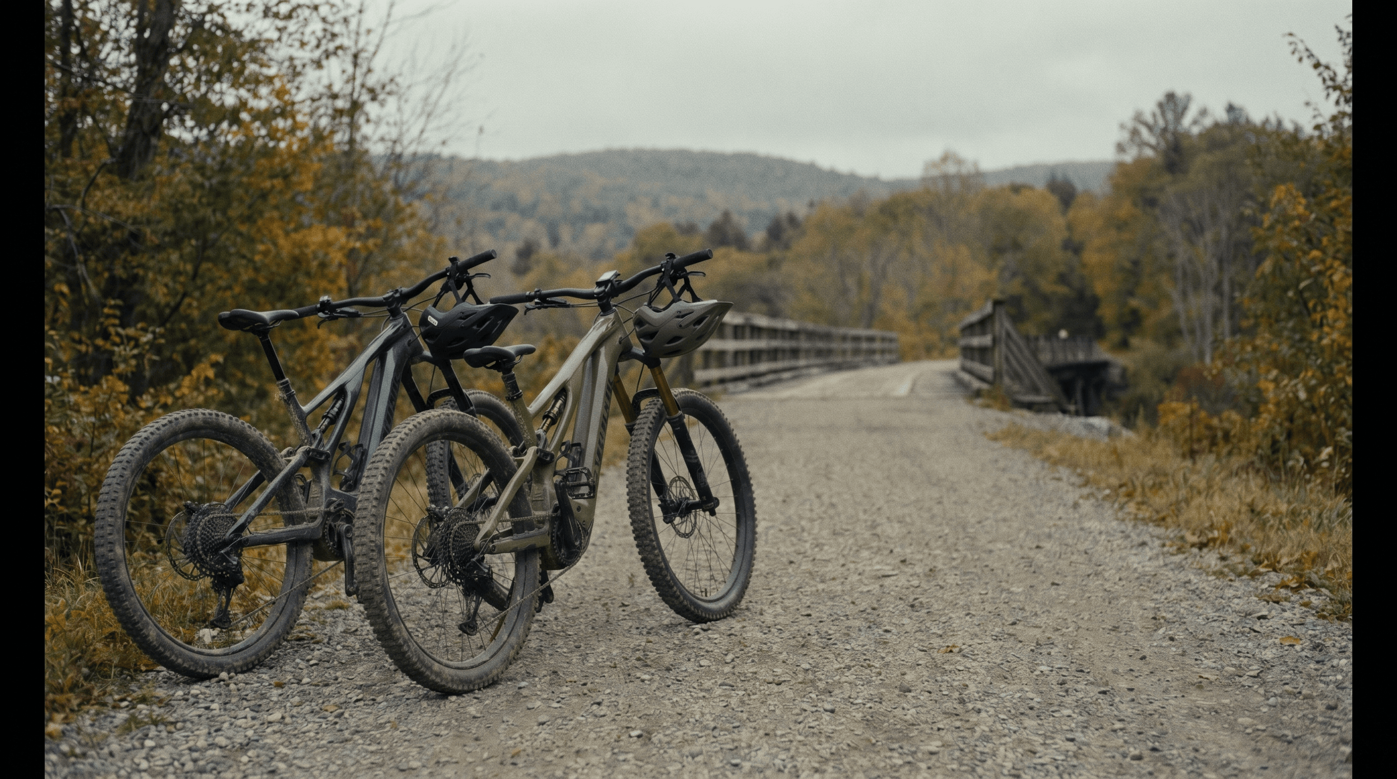 Bakcou electric bikes on the dock